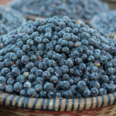 10 foods for managing skin cancer symptoms