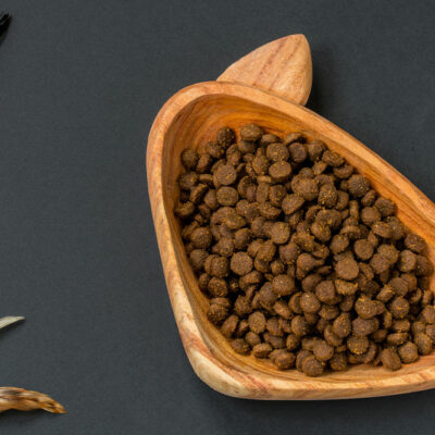 Top 10 cat food Black Friday deals