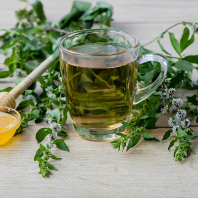 Top 6 fragrant plants that repel ticks